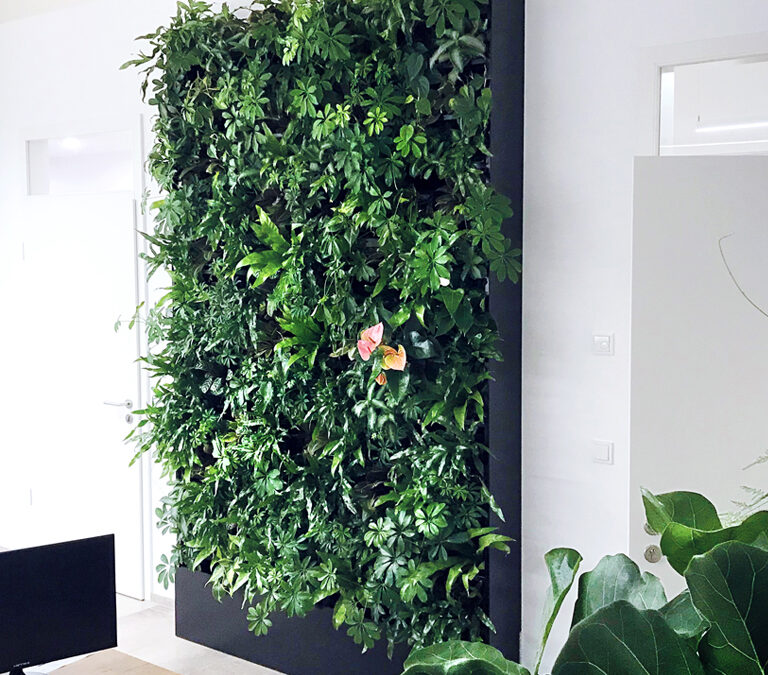 Showroom Mettmann